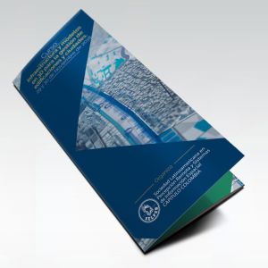 Diseño de Brochure y Poster – Curso BIM SIG 2018