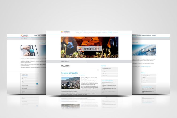 Diseño Web - XVI Simposio Internacional Selper 2014