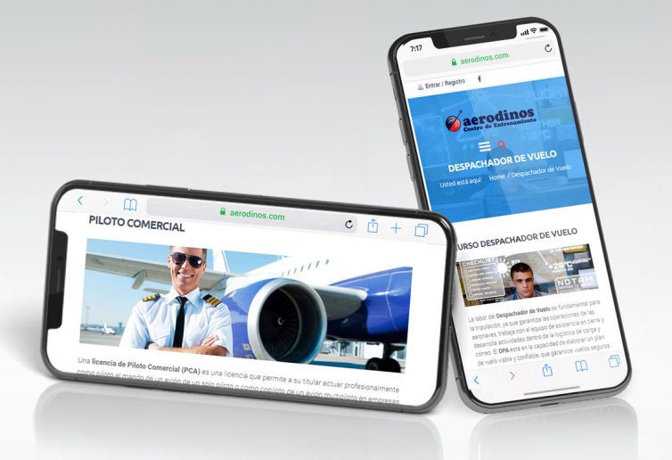 Diseño web - Aerodinos