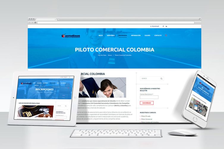 Diseño web - Aerodinos