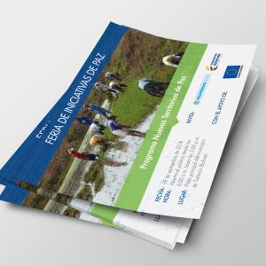Diseño de Flyers – Prosperidad Social