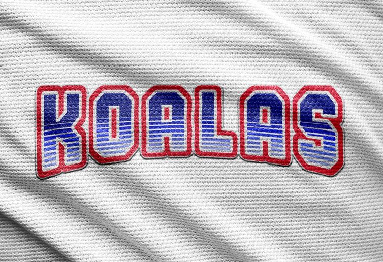 Diseño Logotipo - Academia y Equipo de Baloncesto Koalas