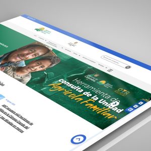 Diseño Web – Portal Agencia Nacional de Tierras – ANT